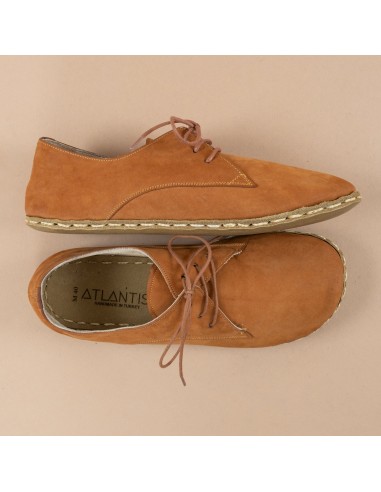 Men's Safari Oxfords 2023